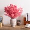 Uniquewise Preserved Real Floral Stems Chic Vase Fillers & Accents for Bouquets Centerpieces & Ornamental Displays Ideal for Home Office Boutique Cafe Resto Bar and Event Decor